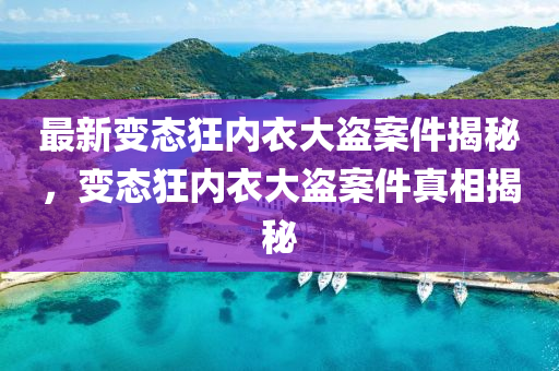 最新变态狂内衣大盗案件揭秘，变态狂内衣大盗案件真相揭秘