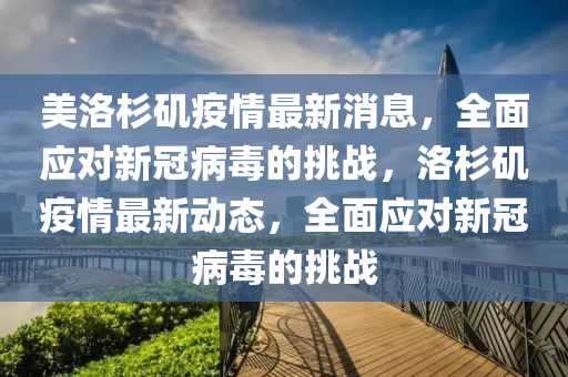 美洛杉矶疫情最新消息，全面应对新冠病毒的挑战，洛杉矶疫情最新动态，全面应对新冠病毒的挑战