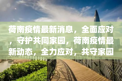 荷南疫情最新消息，全面应对，守护共同家园，荷南疫情最新动态，全力应对，共守家园