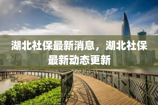 湖北社保最新消息，湖北社保最新动态更新