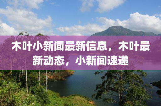 木叶小新闻最新信息，木叶最新动态，小新闻速递