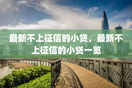 最新不上征信的小贷，最新不上征信的小贷一览