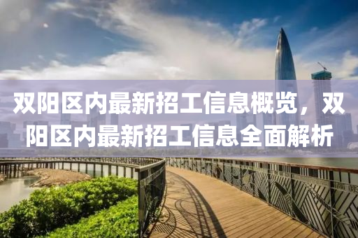 双阳区内最新招工信息概览，双阳区内最新招工信息全面解析
