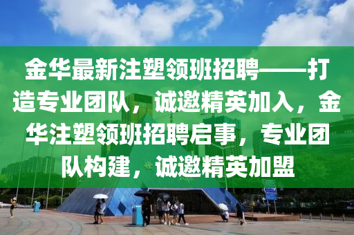 金华最新注塑领班招聘——打造专业团队，诚邀精英加入，金华注塑领班招聘启事，专业团队构建，诚邀精英加盟