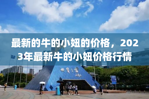 最新的牛的小妞的价格，2023年最新牛的小妞价格行情