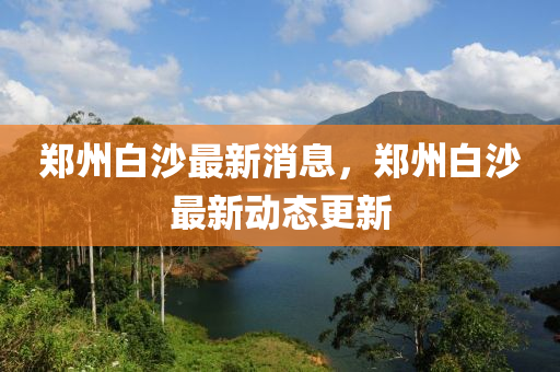 郑州白沙最新消息，郑州白沙最新动态更新