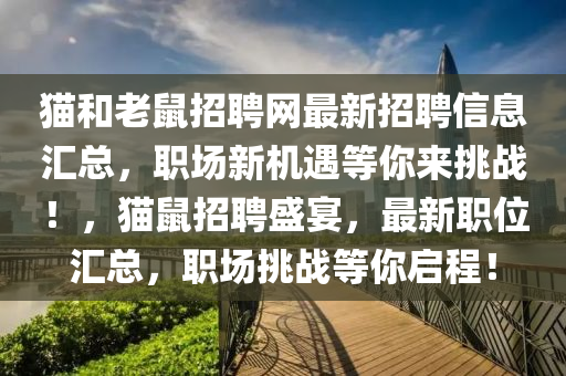 猫和老鼠招聘网最新招聘信息汇总，职场新机遇等你来挑战！，猫鼠招聘盛宴，最新职位汇总，职场挑战等你启程！