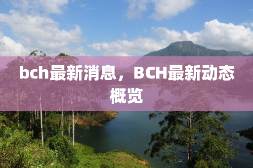 bch最新消息，BCH最新动态概览