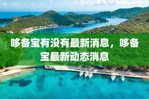 哆备宝有没有最新消息，哆备宝最新动态消息