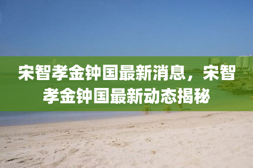宋智孝金钟国最新消息，宋智孝金钟国最新动态揭秘