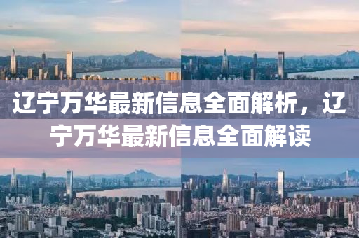 辽宁万华最新信息全面解析，辽宁万华最新信息全面解读