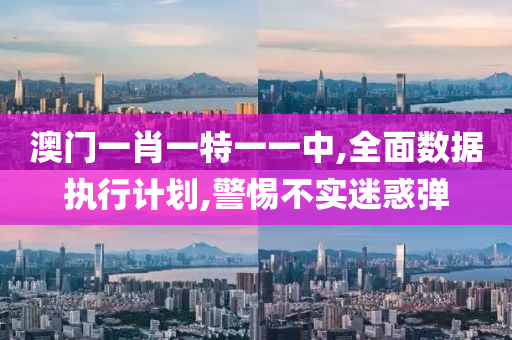 澳门一肖一特一一中,全面数据执行计划,警惕不实迷惑弹