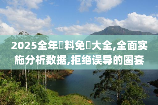 2025全年資料免費大全,全面实施分析数据,拒绝误导的圈套
