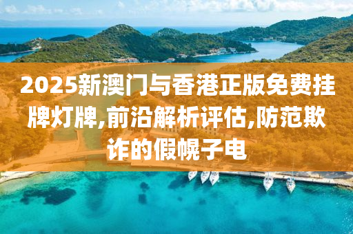 2025新澳门与香港正版免费挂牌灯牌,前沿解析评估,防范欺诈的假幌子电
