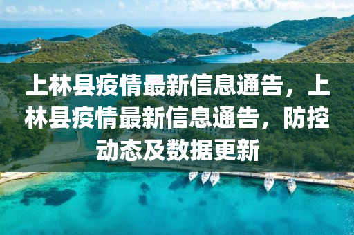 上林县疫情最新信息通告，上林县疫情最新信息通告，防控动态及数据更新