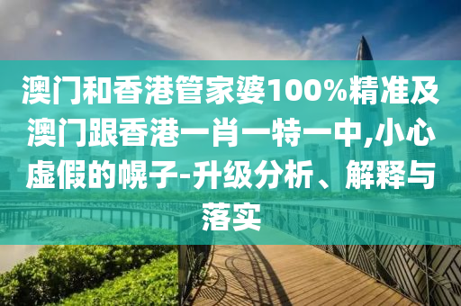 澳门和香港管家婆100%精准及澳门跟香港一肖一特一中,小心虚假的幌子-升级分析、解释与落实