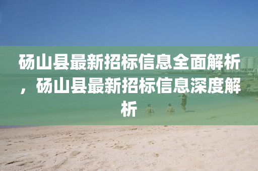砀山县最新招标信息全面解析，砀山县最新招标信息深度解析