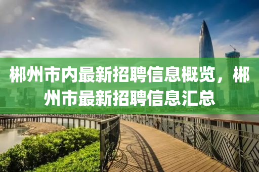 郴州市内最新招聘信息概览，郴州市最新招聘信息汇总