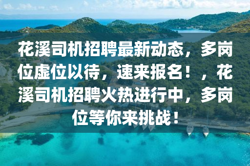 花溪司机招聘最新动态，多岗位虚位以待，速来报名！，花溪司机招聘火热进行中，多岗位等你来挑战！