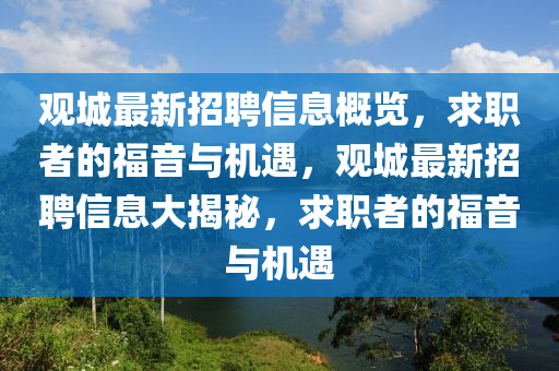 观城最新招聘信息概览，求职者的福音与机遇，观城最新招聘信息大揭秘，求职者的福音与机遇