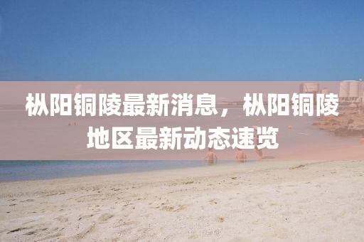 枞阳铜陵最新消息，枞阳铜陵地区最新动态速览山东水清源环保科技有限公司