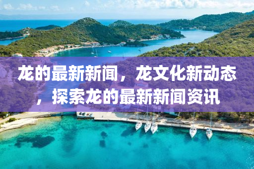龙的最新新闻，龙文化新动态，探索龙的最新新闻资讯