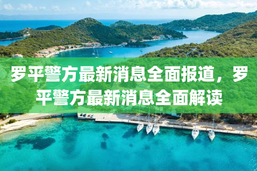 第203页