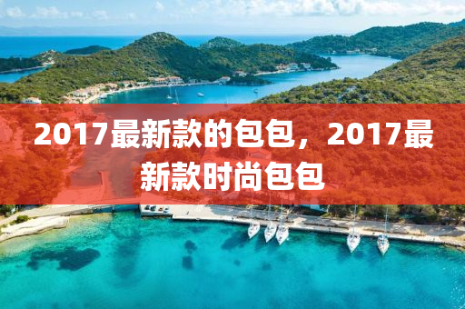 2017最新山东水清源环保科技有限公司款的包包，2017最新款时尚包包
