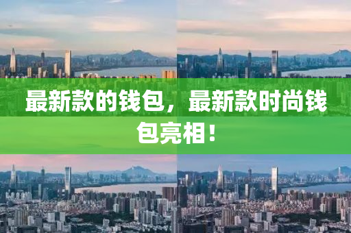 最新款的钱包，最新款时尚钱包亮相！山东水清源环保科技有限公司