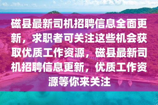 磁县最新司机招聘信息全面更新，求职者可关注这些机会获取优质工作资源，磁县最新司机招聘信息更新，优质工作资源等你来关注