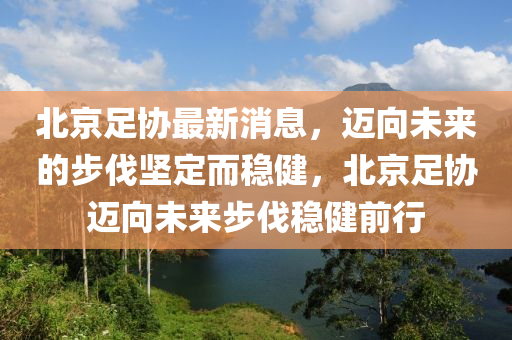 北京足协最新消息，迈向未来的步伐坚定而稳健，北京足协迈向未来步伐稳健前行