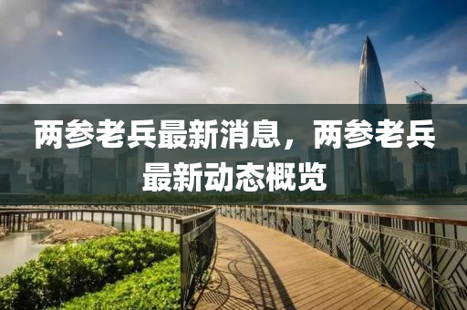 两参老兵最新消息，两参老兵最新动态概览