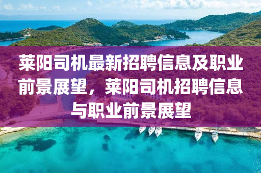 莱阳司机最新招聘信息及职业前景展望，莱阳司机招聘信息与职业前景展望山东水清源环保科技有限公司