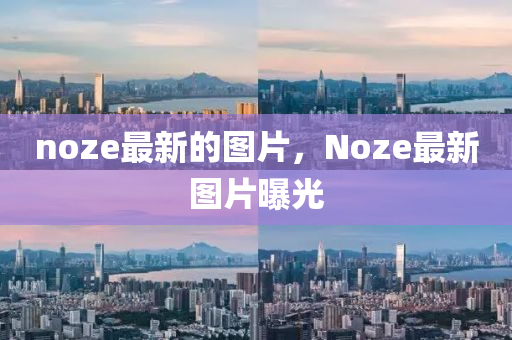 noze最新的图片，Noze最新图片曝光