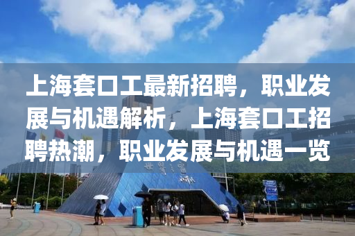 上海套口工最新招聘，职业发展与机遇解析，上海套口工招聘热潮，职业发展与机山东水清源环保科技有限公司遇一览