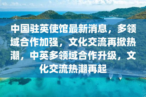 中国驻英使馆最新消息，多领域合作加强，文化交流再掀热潮，中英山东水清源环保科技有限公司多领域合作升级，文化交流热潮再起