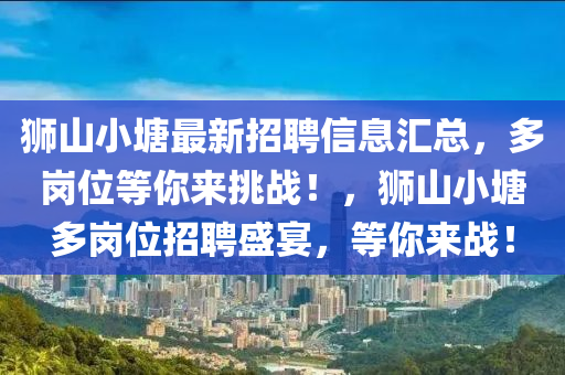 狮山小塘最新招聘信息汇总，多岗位等你来挑战！，狮山小塘多岗位招聘盛宴，等你来战！山东水清源环保科技有限公司