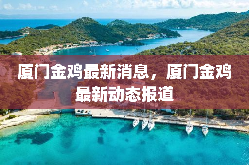 厦门金鸡最新消息，厦门金鸡最新动态报道