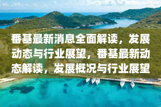 番基最新消息全面解读，发展动态与行业展望，番基最新动态解读，发展概况与行业展望