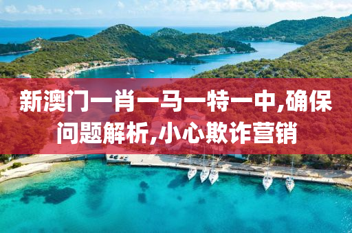 新澳门一肖一马一特一中,确保问题解析,小心欺诈营销山东水清源环保科技有限公司