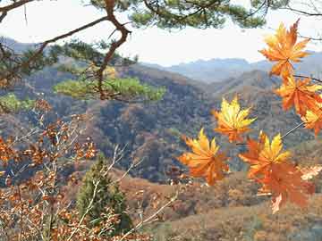 高考人数8年来首降-启发释义、解释与落实​,谨防欺诈的假承诺境山东水清源环保科技有限公司