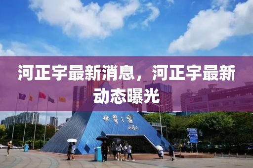 河正宇最新消息，河正宇最新动态曝光山东水清源环保科技有限公司