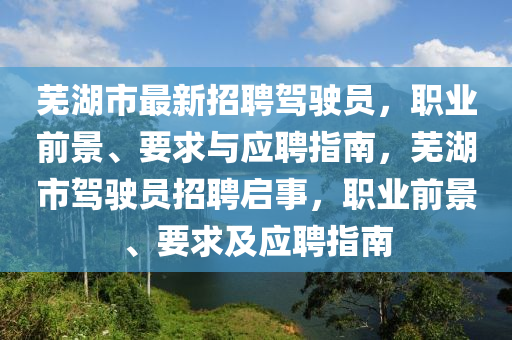 芜湖市最新招聘驾驶员，职业前景、要求与应聘指南，芜湖市驾驶员招聘启事，职业前景、要求及应聘指南山东水清源环保科技有限公司