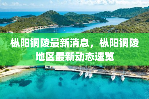 枞阳铜陵最新消息，枞阳铜陵地区最新动态速览山东水清源环保科技有限公司