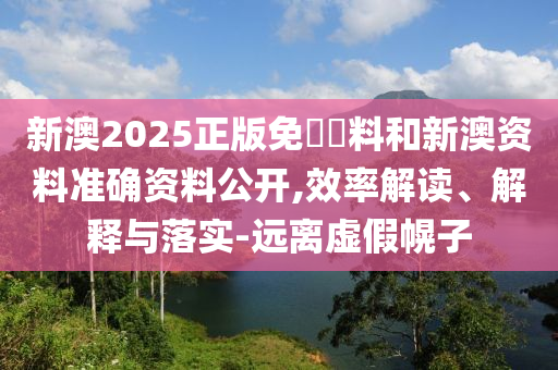 新澳2025正版免費資料和新澳资料准确资料公开,效率解读、解释与落实-远离虚假幌子