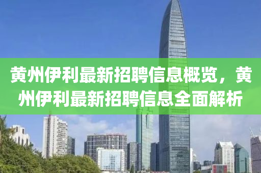 黄州伊利最新招聘信息概览，黄州伊利最新招聘信息全面解析