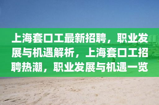 上海套口工最新招聘，职业发展与机遇解析，上海套口工招聘热潮，职业发展与机遇一览