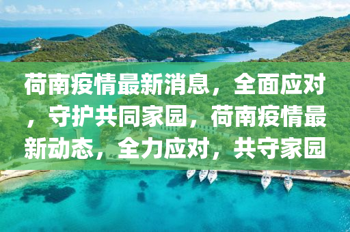 荷南疫情最新消息，全面应对，守护共同家园，荷南疫情最新动态，全力应对，共守家园