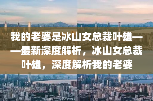 我的老婆是冰山女总裁叶雄——最新深度解析，冰山女总裁叶雄，深度解析我的老婆