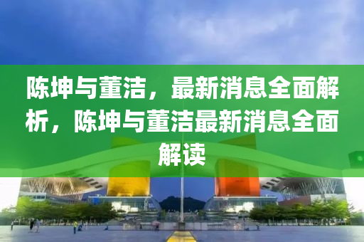 陈坤与董洁，最新消息全面解析，陈坤与董洁最新消息全面解读